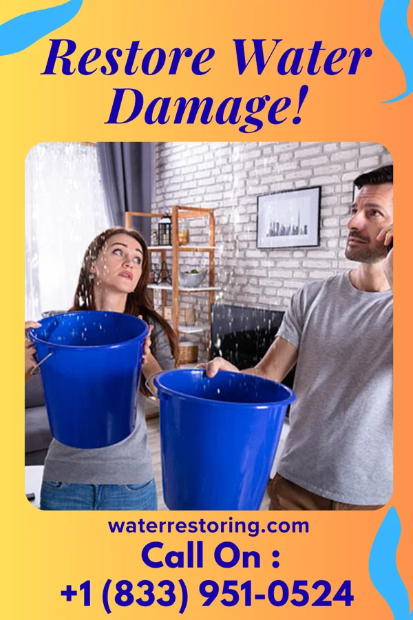water restoration Horizon Damage Recovery Authority Clinton
