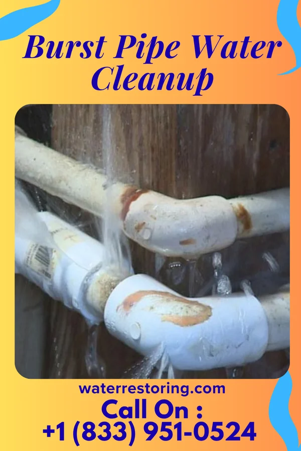 Burst Pipe Water Cleanup in Clinton, IL