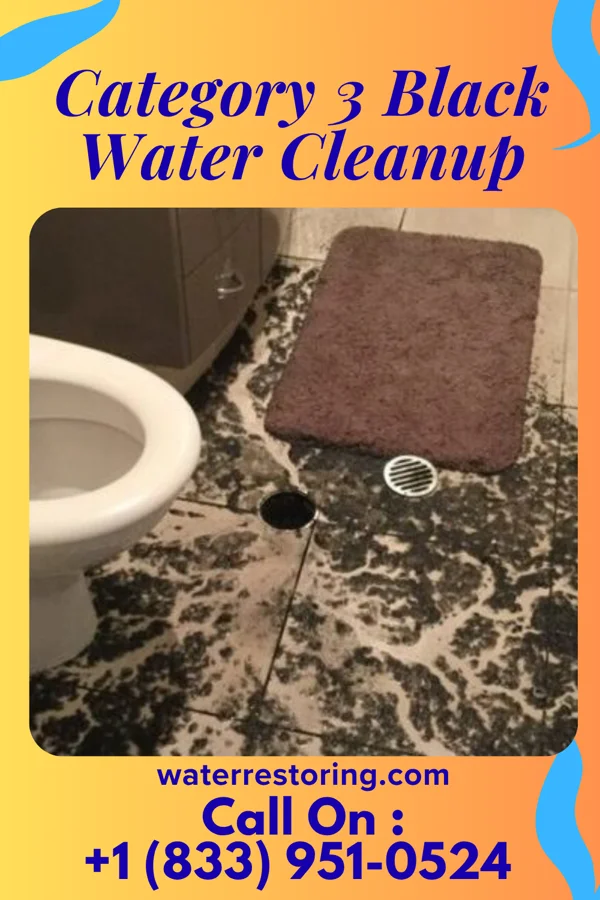 Category 3 Black Water Cleanup in Clinton, IL