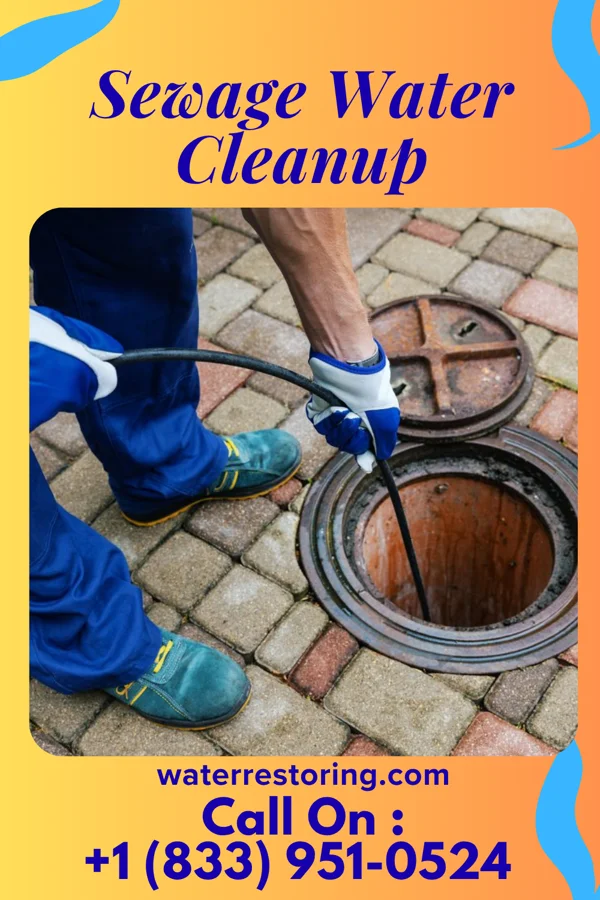 Sewage Water Cleanup in Clinton, IL