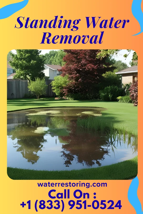 Standing Water Removal in Clinton, IL